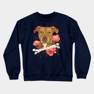 If you’re interested in a pet Crewneck Sweatshirt